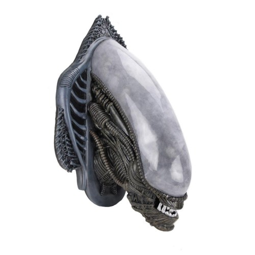 Alien Xenomorph Wall Mounted Trophy Plaque Xenomorph Bust Neca - Official