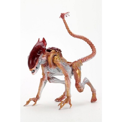 Aliens Night Cougar Alien (Kenner Tribute) Action Figure Neca - Official